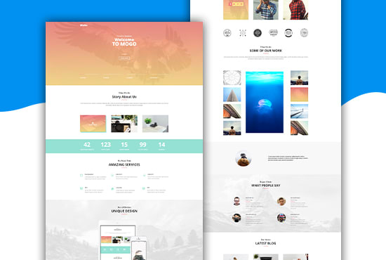 be your expert for divi theme or divi page builder