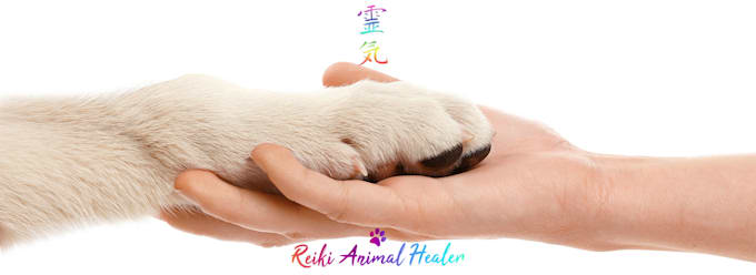 send powerful pet distant reiki healing