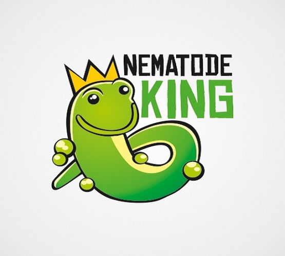 design nematode king logo in 1 day