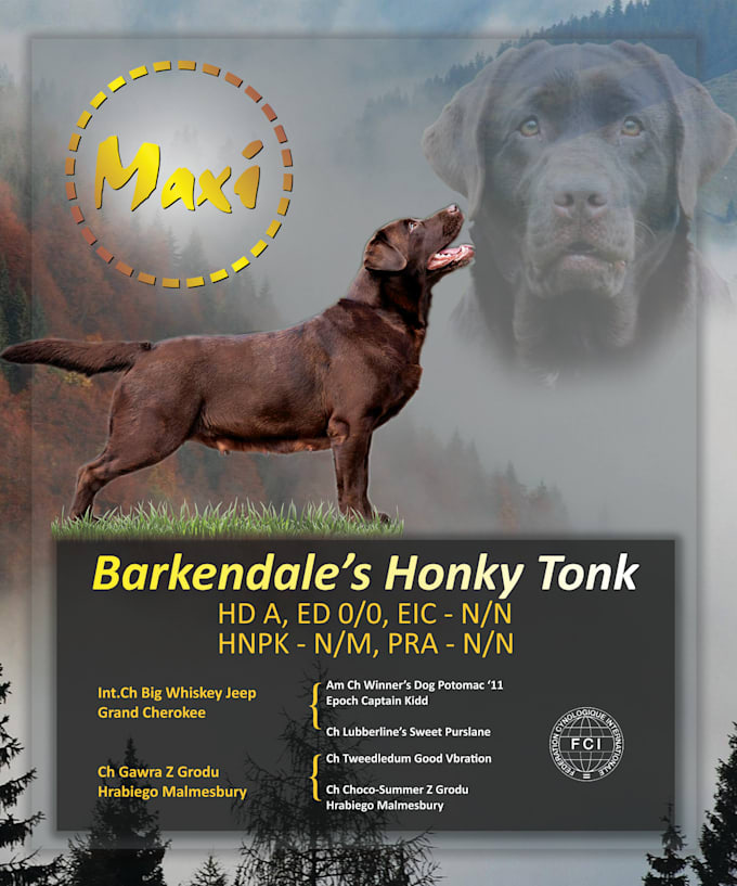 make dog poster for you