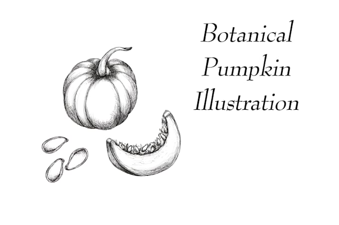 create botanical and medical ink line art