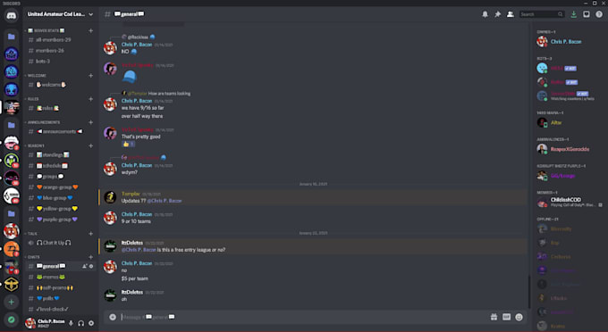 create a professional discord server for you