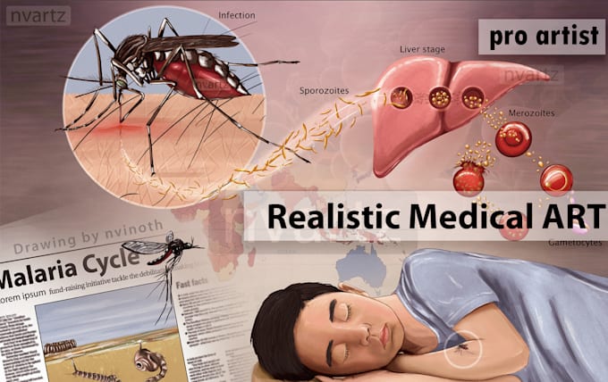 medical illustration pro level