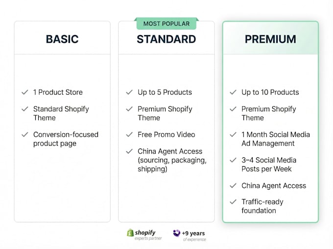 build a professional shopify dropshipping store