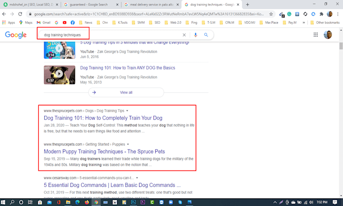 do website onpage technical seo service for wordpress shopify squarespace or wix