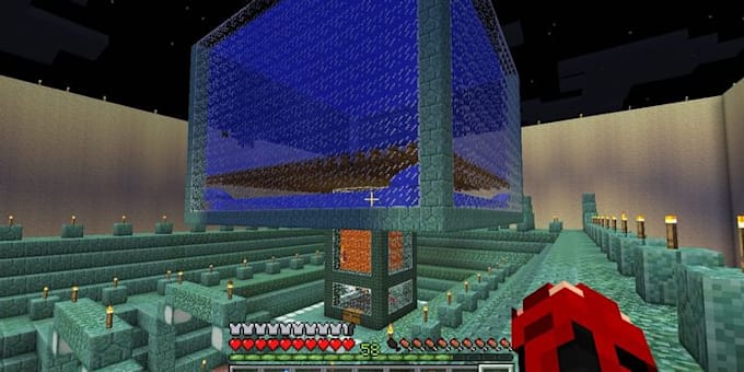 build you a minecraft farm