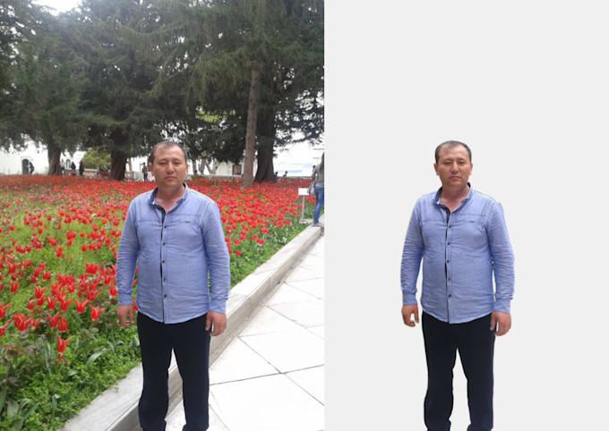 remove the background professionally