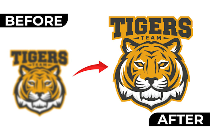 design professional custom logo and do manually vector tracing
