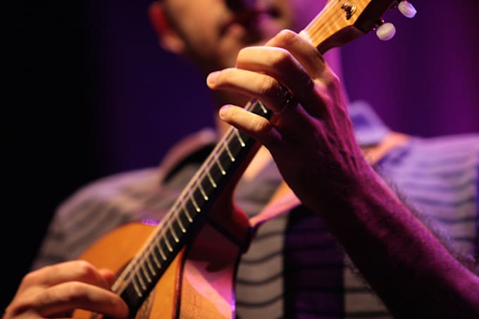 record mandolin 10 strings