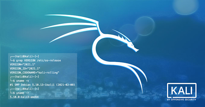 be your kali linux penetration tester and trainer too
