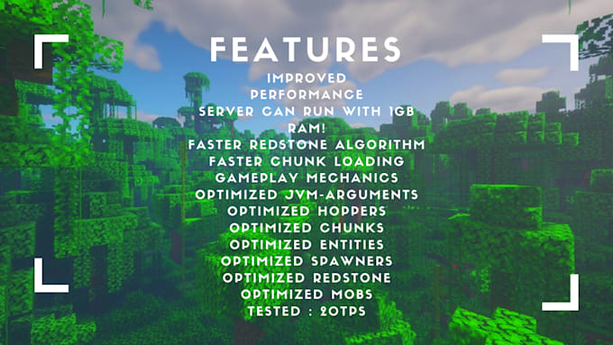 set up your minecraft server with no lag or tps drops