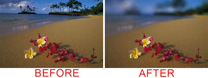blur the image or photo background