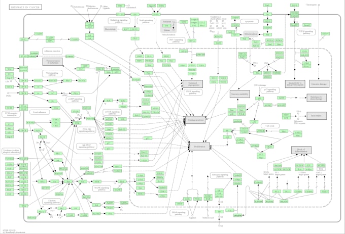 help you in performing any bioinformatics task