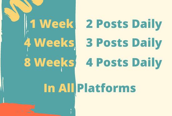 be your social media manager and content creator