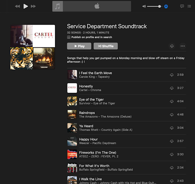 make you a customized playlist on apple music, spotify, or youtube