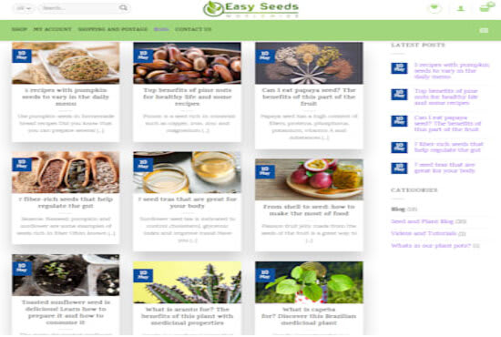 make your website ready for adsense approval