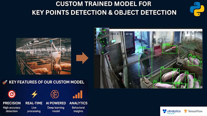 do object detection and classification using python