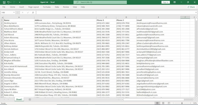 do excel data entry, data sorting, copy paste, and web research