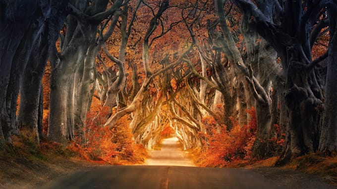 perform road opener ritual for you