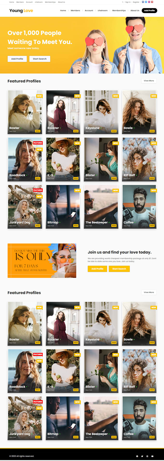 make any kind of social dating website