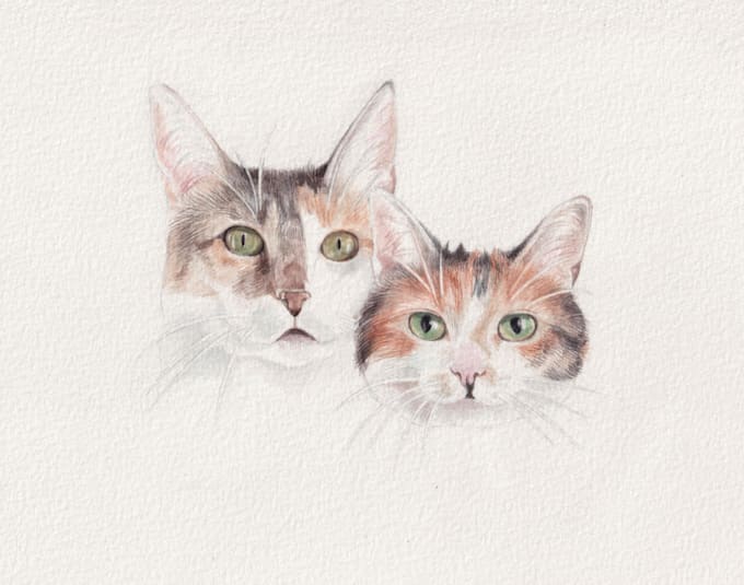 Draw realistic watercolor portrait of your animal pet cat dog by ...