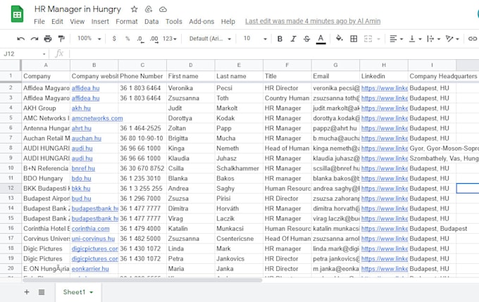 do custom prospects email list building for your campaigns