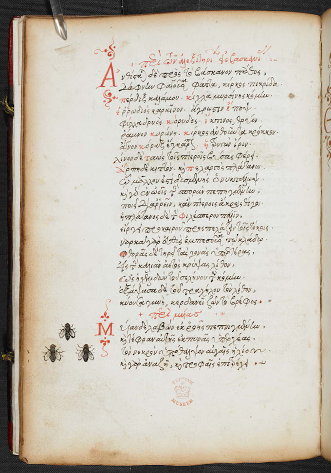 translate to and from ancient greek