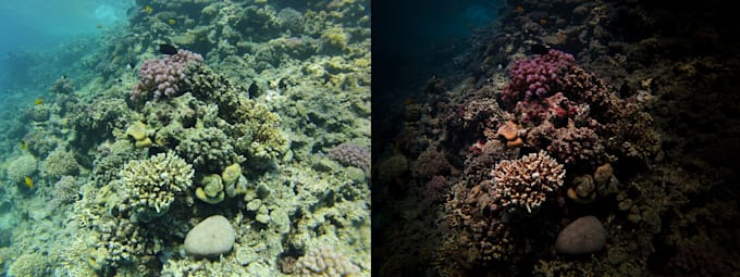 do amazing underwater photography editing