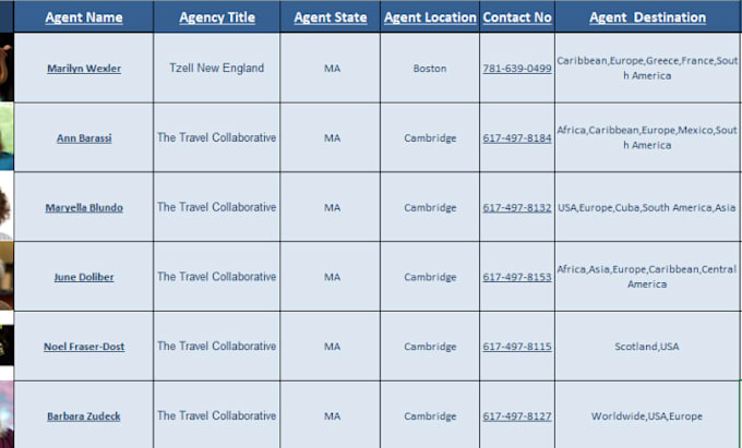 organize, clean up excel email contact list, data entry collection, web research