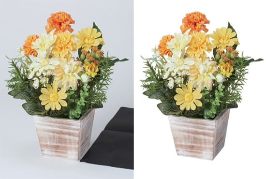 do 99 photo background removal and fast delivery