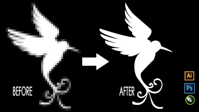 do manual vector tracing, convert jpg into vector in 1 hour