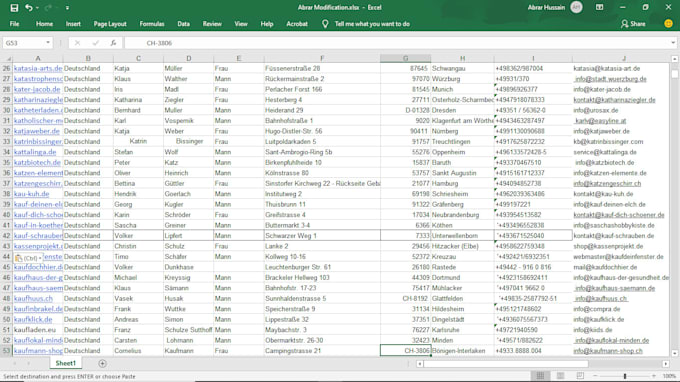 do excel data entry, copypaste, and any type of data entry