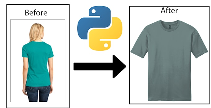 develop your python bot, script, backend, web application, or ai