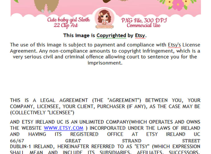 draft privacy policy, website terms, software and website conditions