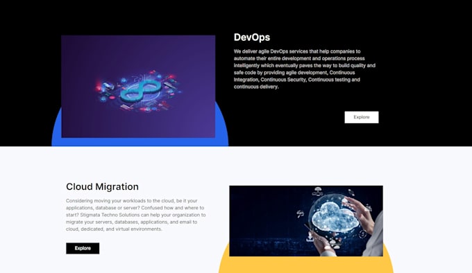 build you a professional wordpress site