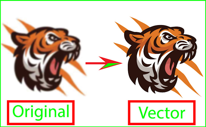 vector tracing, jpg to vector, png to vector, redraw logo