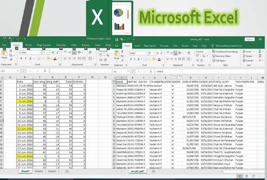 do ms office jobs word excel, data cleaning, collection, and formatting