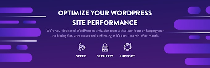 do wordpress speed optimization within 1 hour