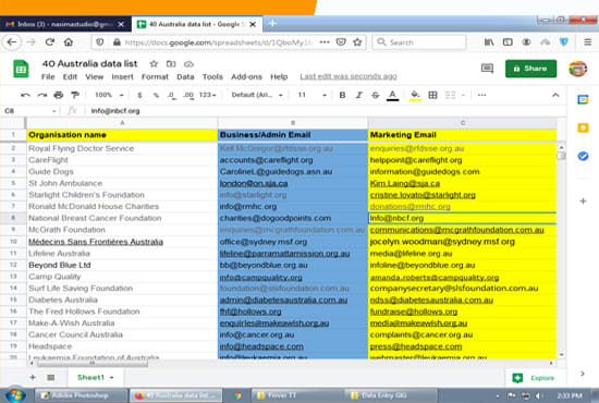 do data entry, copy data from website in excel sheet