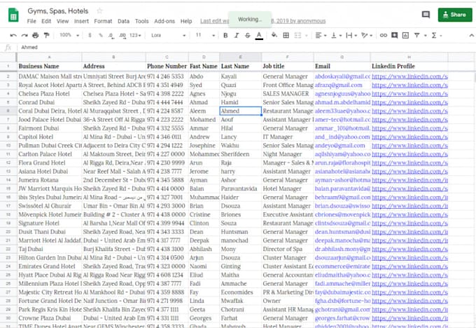 do web research,data entry any business email finding
