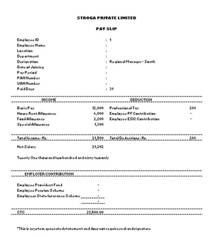 manage HR and payroll professionally