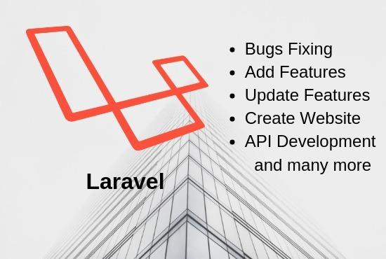 fix bugs and security issues in laravel application
