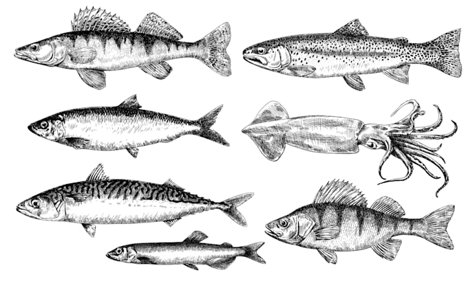 draw animal, fish, bird hand drawn vector illustrations