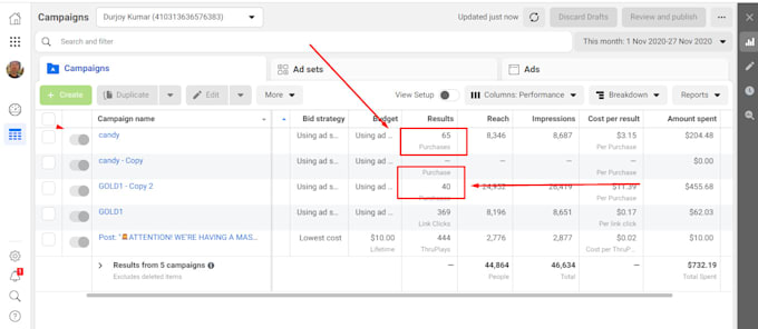 setup facebook and google ads campaign with management