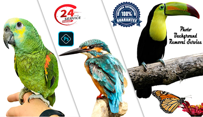 do  background removal from photos products