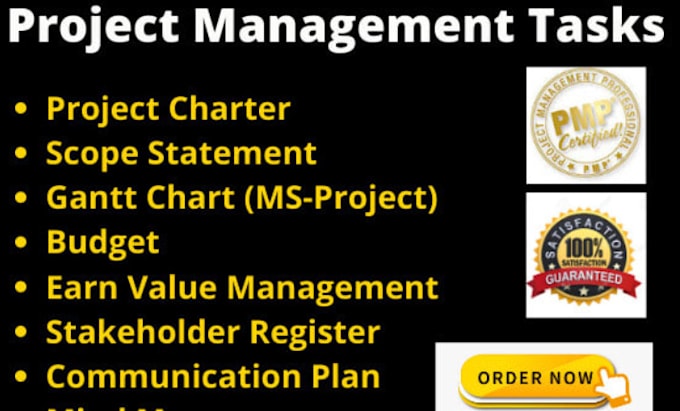 write project management document like project charter, gantt chart