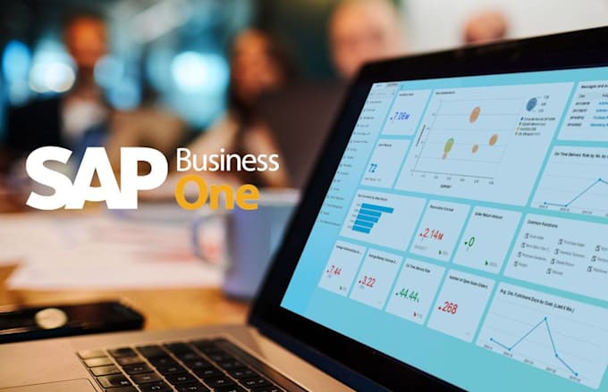assist in sap b1 and s4 hana projects