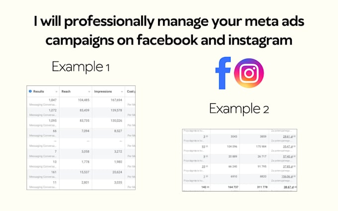 professionally manage your meta ads campaigns on fb and ig