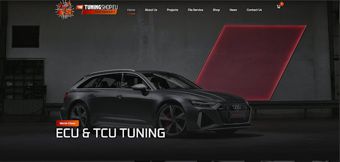 design and develop modern custom website