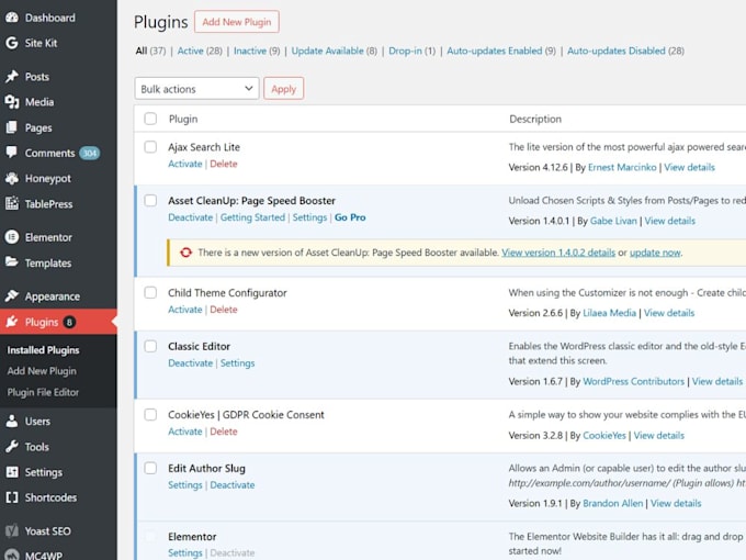 do wordpress website maintenance and monthly support